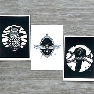 Cartolina in bianco e nero |  Corvi | Falena | Gufo | Carta per acquerelli di alta qualità | 3 cartoline | Immagini da cartolina | Arte gotica | A6