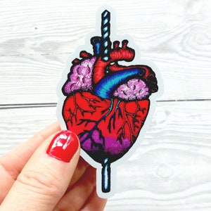 Hartstickers | Stickers | Anatomisch hart | Bullet Journal Ideeën | Laptop decoratie | Hart Sticker | Decoratieve stickers | Plakboeken