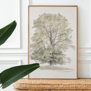 May include: A framed watercolor painting of a large, green tree with a light brown background. The painting is hanging on a white wall above a wicker chest.