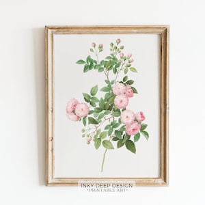 Vintage Rose Botanical Wall Art Vintage Botanical Print Pink Flower Print Watercolor Downloadable PRINTABLE Wall Art, No. 197