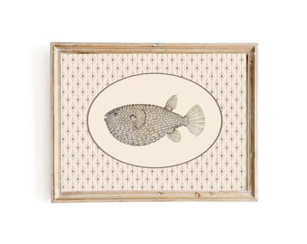Fish Print, Vintage Fish Art, Maximalist Wall Decor, Colorful Fish Art, Farmhouse Art, Fisherman Aesthetic, PRINTABLE Art, A-204