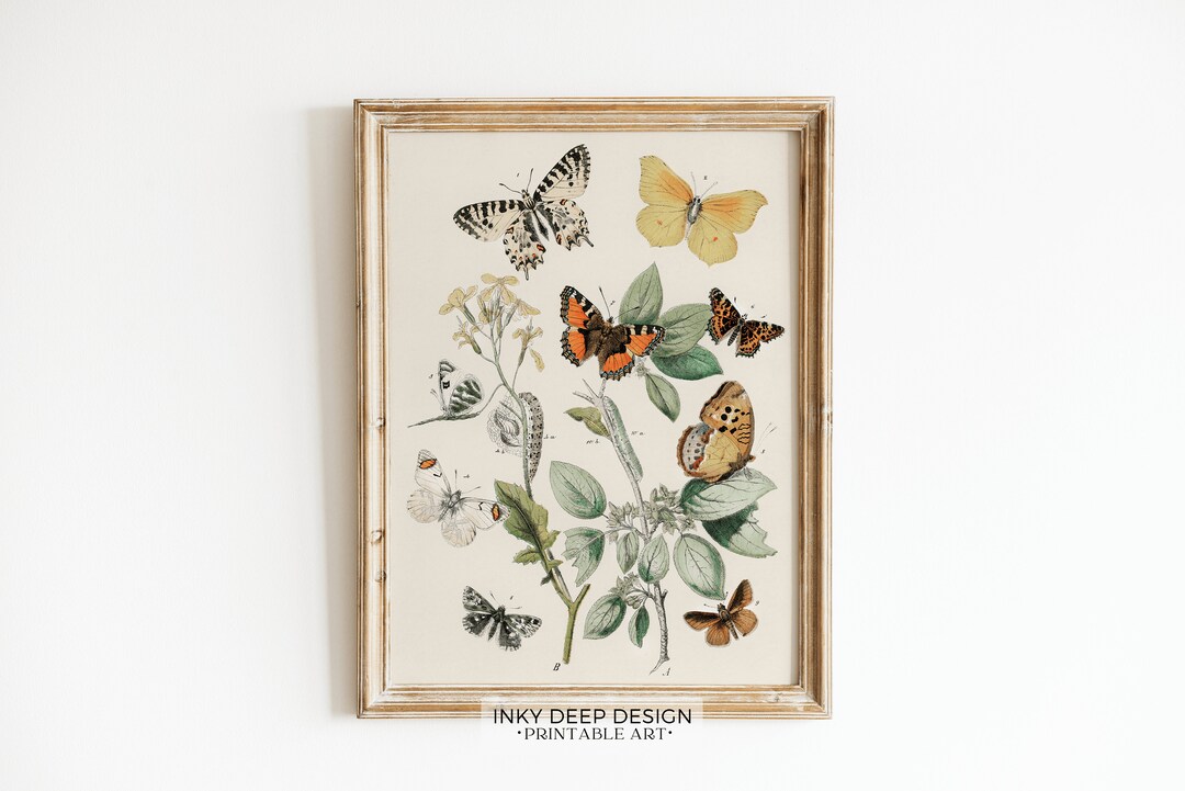 Vintage Butterfly Print Butterfly Wall Art Cottagecore Wall Art Prints ...