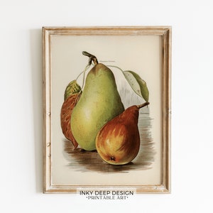 Pear Art Print Fruit Wall Art Fruit Print Farmhouse Kitchen Wall Art Vintage Pear Illustration Downloadable PRINTABLE Wall Art, No. 263