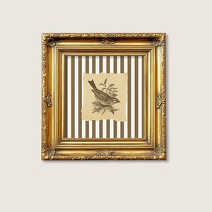 Op de afbeelding: Een vierkante, sierlijke gouden lijst omringt een print in vintage-stijl. De print toont een gedetailleerde zwart-wit illustratie van een vogel op een tak, tegen een gestreepte achtergrond. De lijst heeft decoratieve gravures.