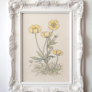 Étude botanique vintage, croquis de fleur ancienne, décoration de chambre d'enfant jaune, art de chambre de bébé cottagecore, art mural imprimable fleur jaune, n° 322
