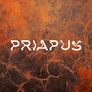 May include: White text on a brown leather background that reads "PRIAPUS".