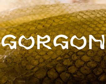 Gorgon EDP