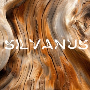 May include: The word "SILVANUS" is written in white, stylized letters against a background of brown wood grain.