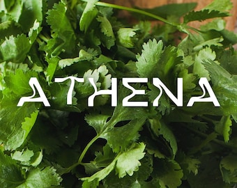 Athena | Earthy EDP: Cilantro, Sweetgrass, Palo Santo, Frankincense