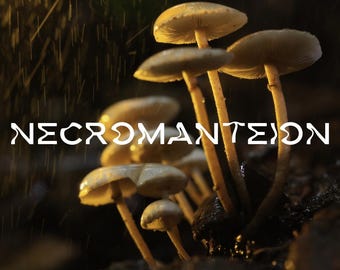 Necromanteion | Earthy EDP: Mushrooms, Dirt, Indole, Ambergris, Oud, Daffodil