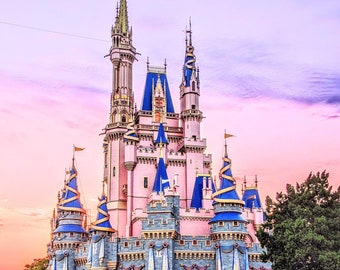 ディズニー スピリットジャージー キャッスル シンデレラ城 WDW50周年 PHOTOS: 50th Anniversary Cinderella Castle Spirit Jersey Now