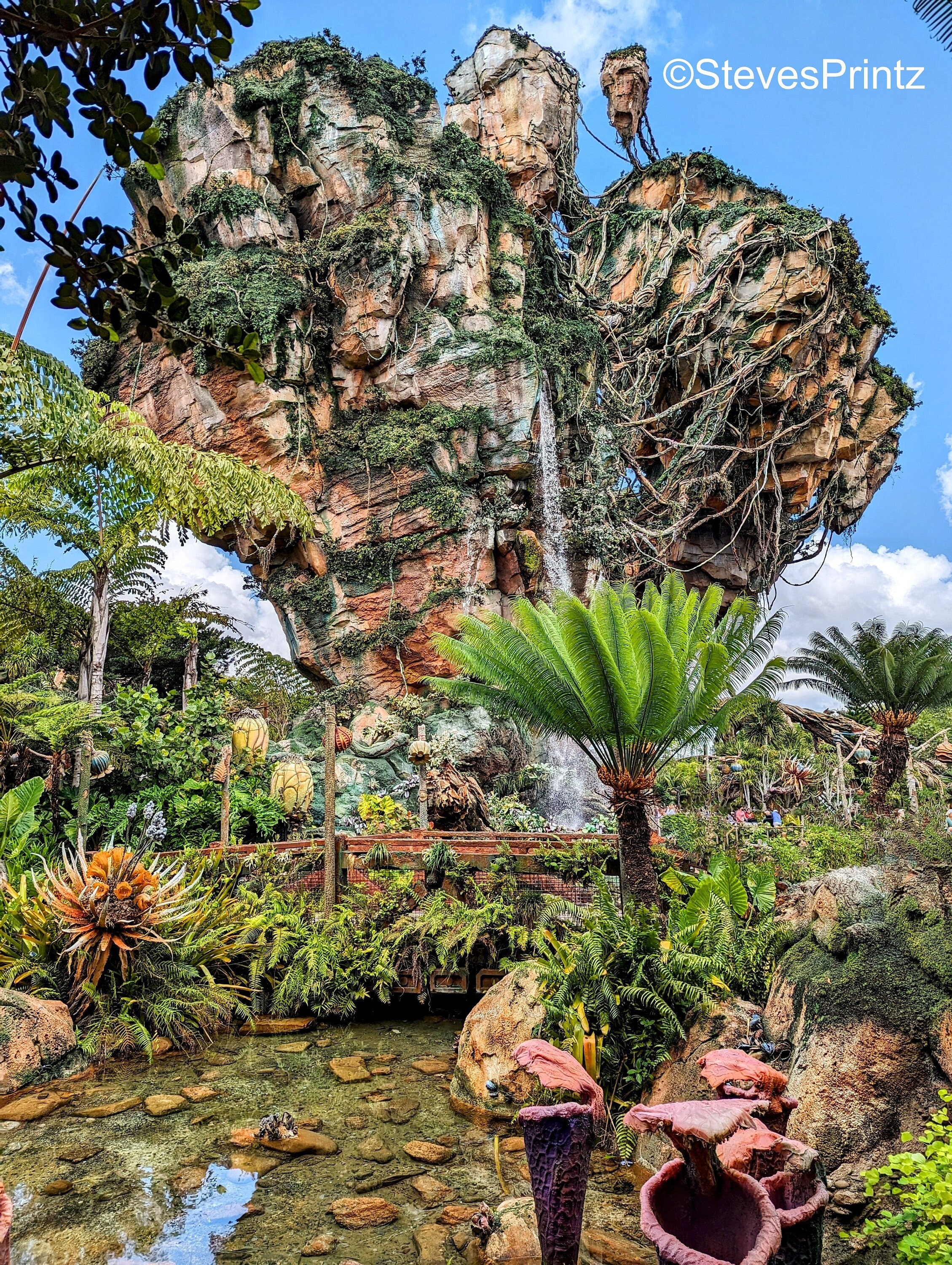 Pandora the World of Avatar Disney's Animal Kingdom Canada - Main Image