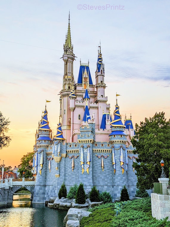 ウォルト・ディズニー・ワールド公式　シンデレラ城　ミニチュア Amazon.co.jp: WDW 50周年 シンデレラ城 プレイセット