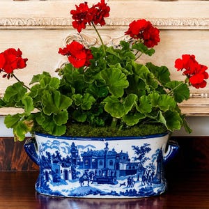 Può includere: Una pianta di geranio rosso vibrante con foglie verdi rigogliose in un vaso di ceramica ovale. Il vaso presenta un motivo blu e bianco che raffigura una scena paesaggistica dettagliata con figure e architettura, oltre a due manici laterali.