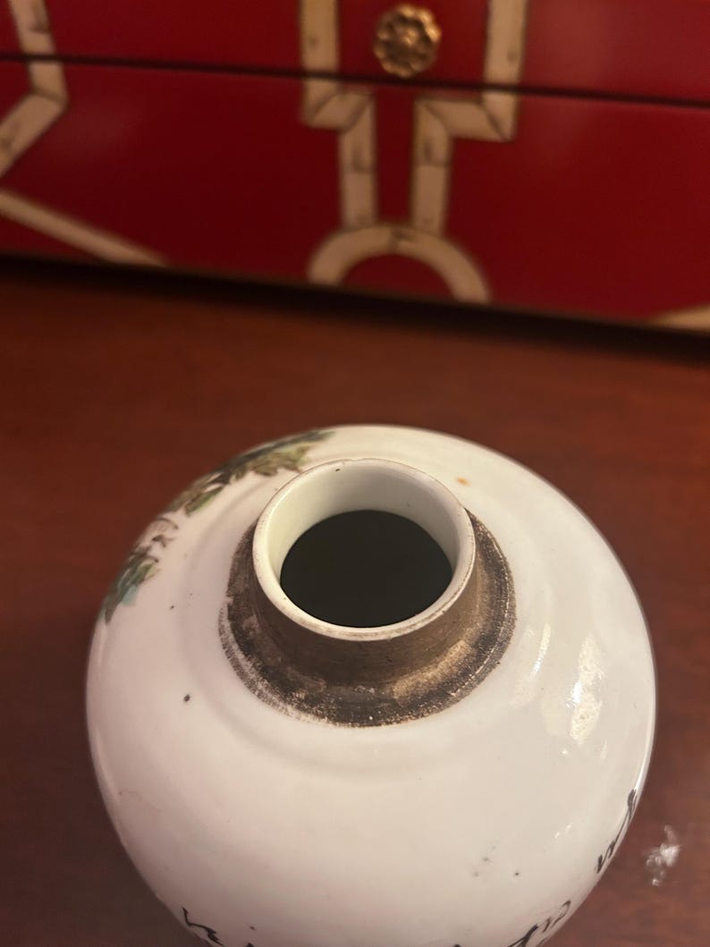 Pu&ograve; includere: Un vaso rotondo in ceramica bianca con un'apertura scura e un bordo marrone. Il vaso presenta dettagli dipinti in verde e nero sbiaditi. Lo sfondo include una scatola decorativa rossa.