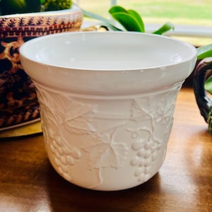 May include: A white ceramic planter with a raised grape and leaf design. The planter has a wide, rounded rim and a cylindrical body. The embossed pattern adds texture and visual interest to the piece. The planter is suitable for indoor or outdoor use.