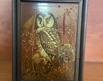 Handmade vintage naturalist 3D paper owl with dried flowers and clear slightly yellow plastic glass and wooden frame