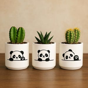 May include: Three white ceramic plant pots featuring panda bear designs, each containing a different succulent or cactus. The plants include a green cactus, a dark green succulent, and a spiky cactus. The pots are on a wooden surface.