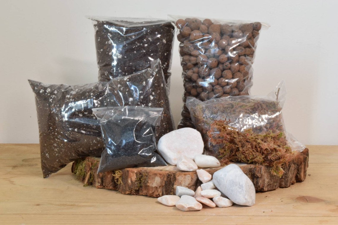 Terrarium Kit Without Plants Plant Gift Moss Terranium Etsy UK