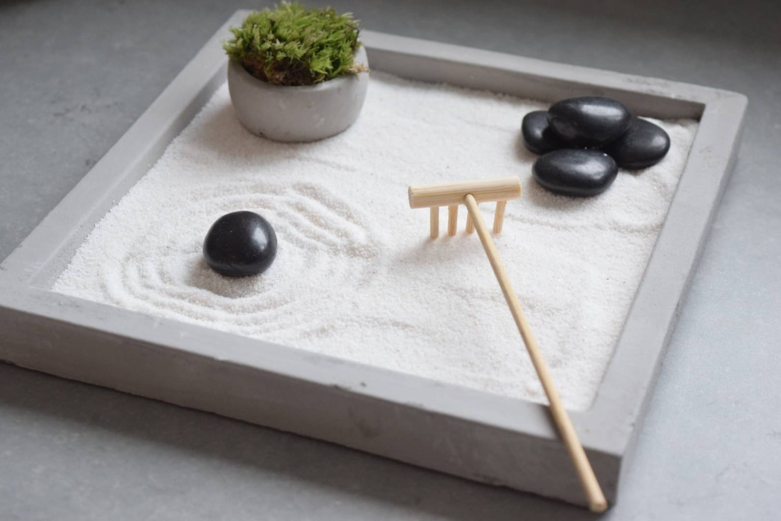 Full Japanese Zen Garden with Rake and Moss - Office Plant