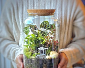 Large Terrarium Kit with Plants x3 - Plant Gift - Moss Terranium Birthday gift Closed Terrarium - Glass Terrarium Biodome DIY terrarium kit