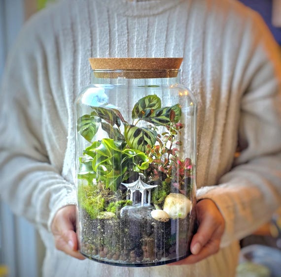 Large Terrarium Kit With Plants X3 - Plant Gift - Moss Terranium Birthday  Gift Closed Terrarium - Glass Terrarium Biodome DIY Terrarium Kit - Etsy  Israel