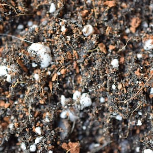 May include: Close-up of a soil mix for plants, featuring a mix of dark brown soil, small brown pieces of bark, and white perlite.