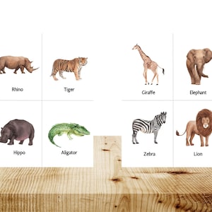 8 cartes animaux de safari, cartes flash Montessori, cartes préscolaires, cartes éducatives imprimables, TÉLÉCHARGEMENT IMMÉDIAT