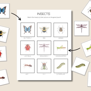 Insect Matching Activity, Match 8 Different Insects, Insect Activity, Garden and Insects Studies, PDF Printable, Insect Unit Study