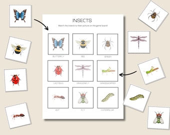 Insect Matching Activity, Match 8 Different Insects, Insect Activity, Garden and Insects Studies, PDF Printable, Insect Unit Study