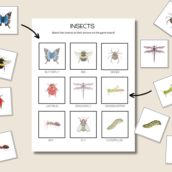 Insect Matching Activity, Match 8 Different Insects, Insect Activity, Garden and Insects Studies, PDF Printable, Insect Unit Study