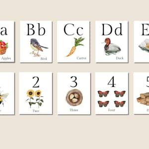 BUNDLE Nature Alphabet Flashcards / Number Flashcards/ Watercolor Cards / Homeschool / Nature Study / ABC Cards / Number cards/ Alphabet