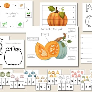 Pumpkin Activity Pack for Kids, Printable Learning Bundle, Pumpkin Worksheets, Pumpkin Printable, Pumpkin Unit Study, Pumpkins