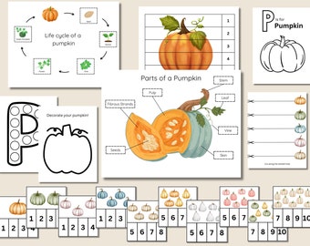 Pumpkin Activity Pack for Kids, Printable Learning Bundle, Pumpkin Worksheets, Pumpkin Printable, Pumpkin Unit Study, Pumpkins