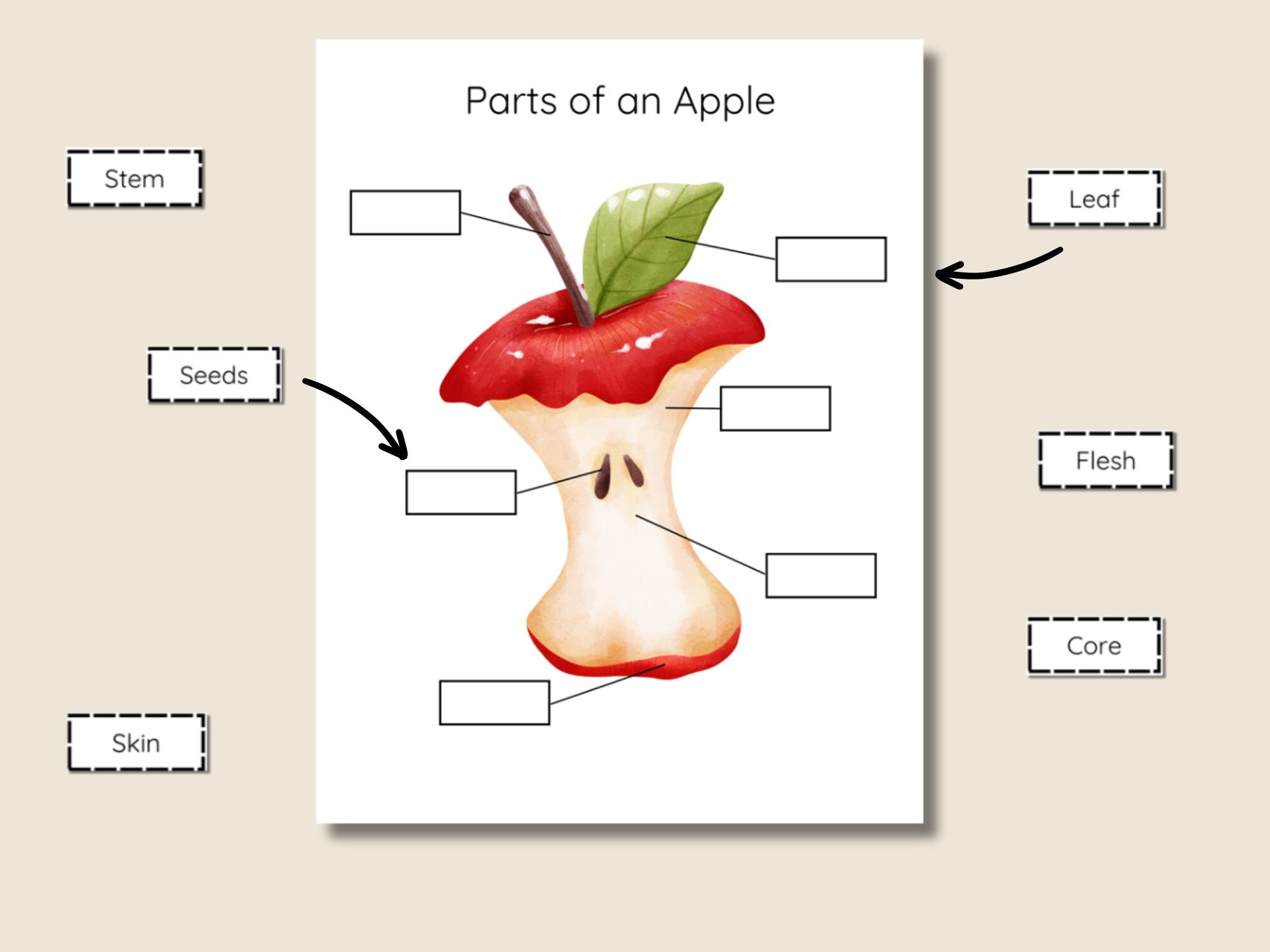 Apple Activity Pack for Kids, Printable Learning Bundle, Apple ...