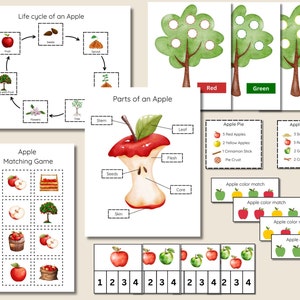 May include: A printable educational worksheet for kids about the life cycle of an apple. The worksheet includes a diagram of the life cycle, a matching game, and a diagram of the parts of an apple. The worksheet also includes a section on apple recipes, with instructions for making apple pie and apple crisp.