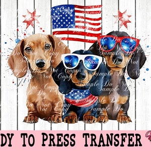 Cute Dachshund 4th of July- Ready To Press Sublimation Or DTF Transfer | Party In The USA | Dog Lover | Fireworks | Patriotic | Celebrate