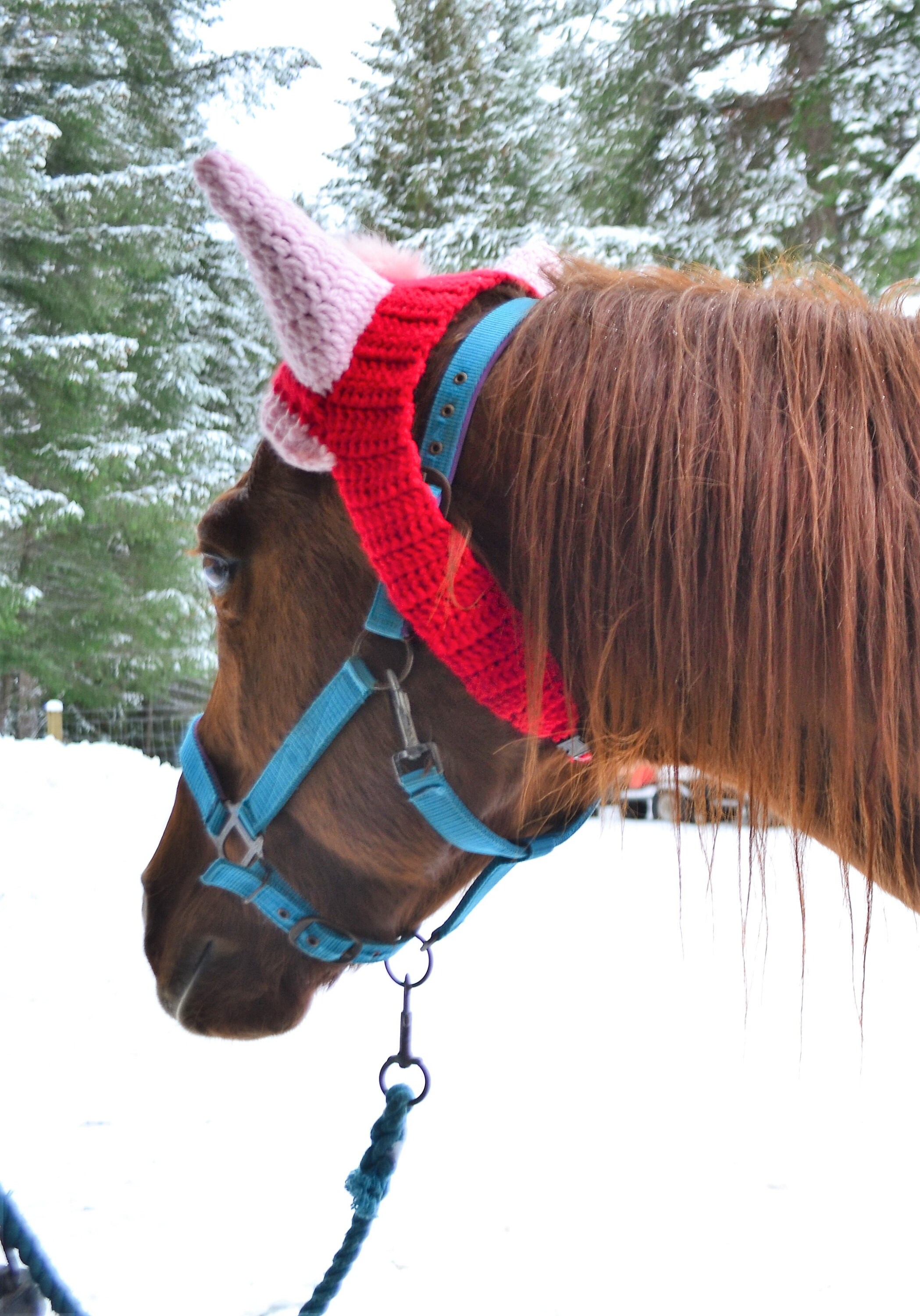 Crochet PATTERN Ear Warmer FULL Horse Hat Ear Muffs Etsy
