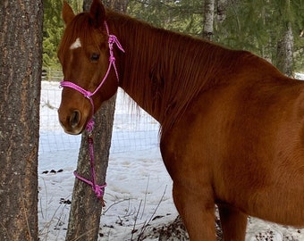 Muletape Rope Halter, Purple and Orange, Quick Release Clip, 7 Foot Reins/Lead rope, Muletape, Horse Bridle, Horse Halter, Horse Rope Halter