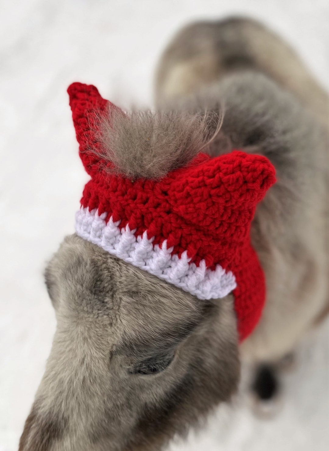 Crochet PATTERN Mini Horse Ear Warmer, Horse Hat, Ear Muffs, Muffs