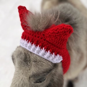 Pode incluir: Um cavalo cinza e branco usando um chapéu de Papai Noel de crochê vermelho e branco.