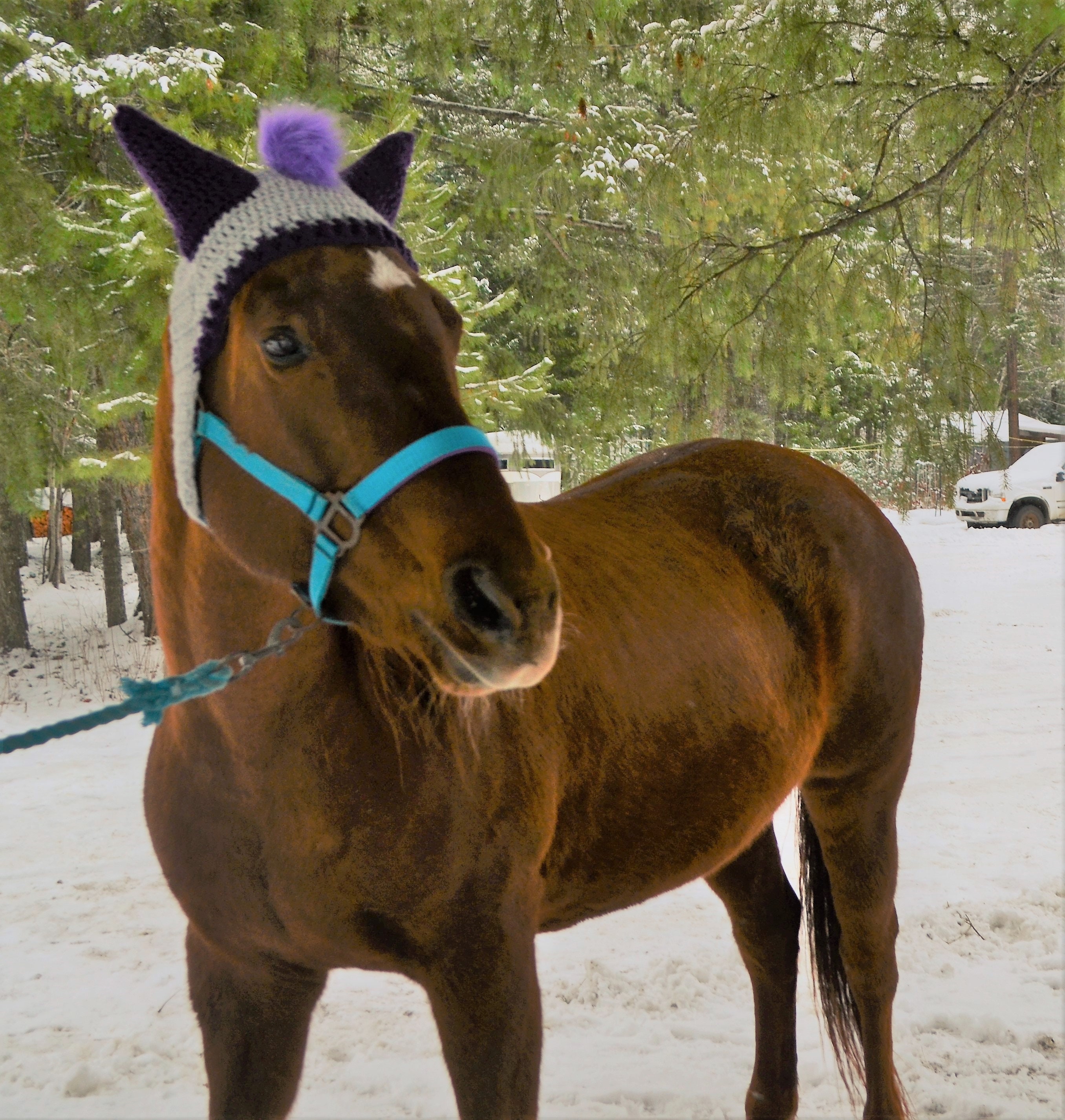 Crochet PATTERN Ear Warmer FULL Horse Hat Ear Muffs Etsy