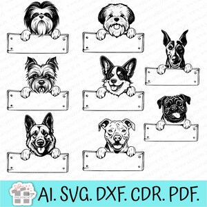 Hundesvg, Hundesvg, Hundeportrait Clipart, süßes Hundesvg, Hundekopfsvg, Spähender Hund SVG, Hund späht in die Ecke SVG. Hund Illustration SVG