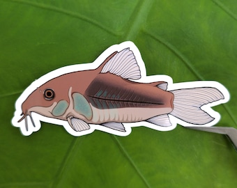 Bronze Cory Sticker - Die Cut Vinyl Corydoras Waterproof Decal