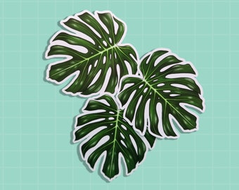 Monstera Leaf Sticker - Waterproof Glossy Vinyl Swiss Cheese House Plant Decal