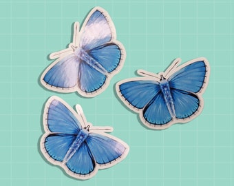 Blue Butterfly Sticker - Adonis Blue English Butterfly Glossy Decal