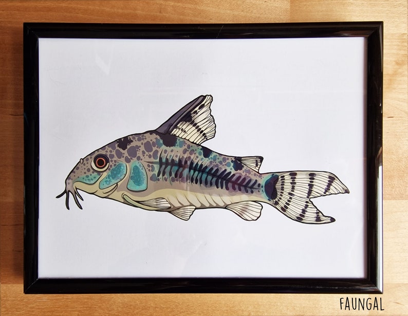 Peppered Cory Catfish A5 Print Corydoras Paleatus Illustration Fish Wall Art image 1