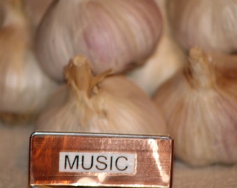 Music Seed Garlic