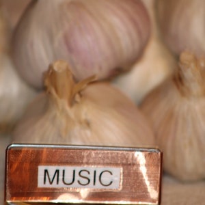 Music Culinary Garlic