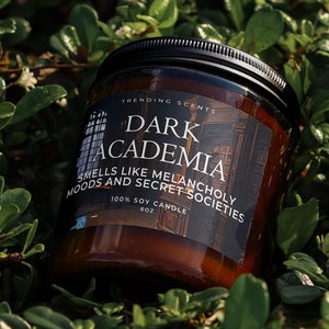 Dark Academia Candle | Smells Like Melancholy Moods and Secret Societies Bookish Candle | Gift for Book Reader / Book Lover